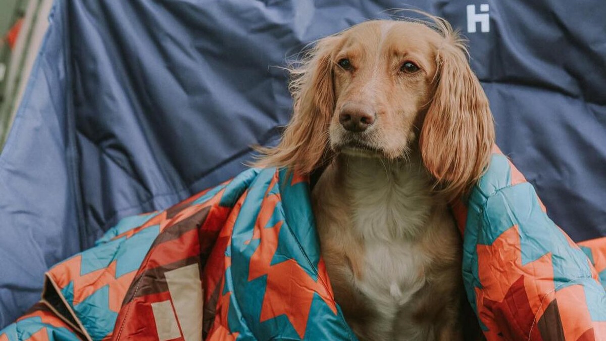 Rumpl Original Puffy Blanket vs Voited Outdoor PillowBlanket TheJourney